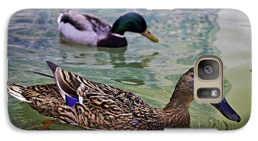 Swimming Galaxy S7 Case featuring the photograph The Mallard Pair by Mary Machare