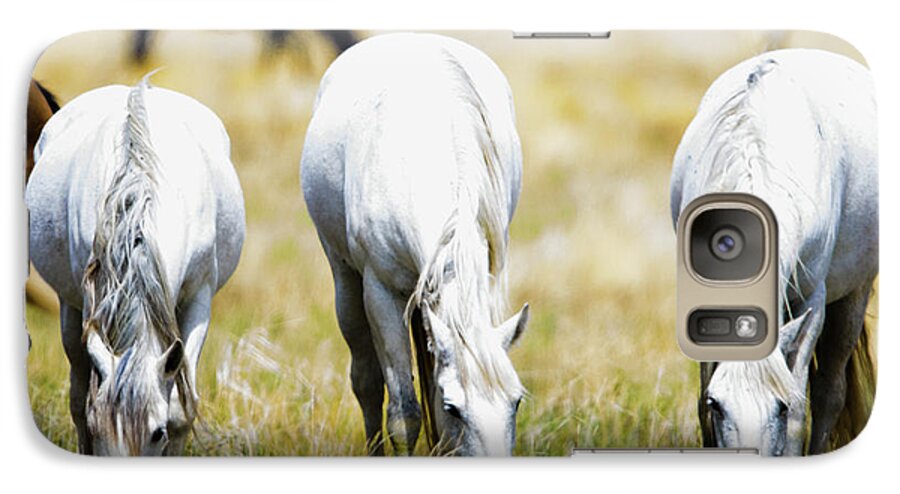 Horses Galaxy S7 Case featuring the photograph The three amigos grazing by Bryan Carter