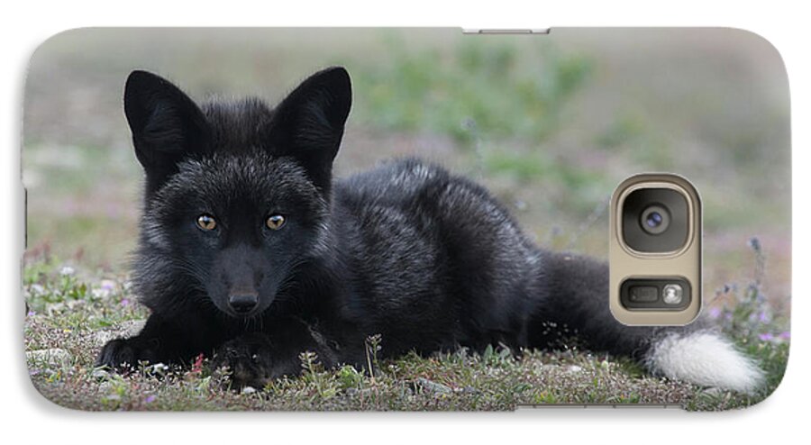 Fox Galaxy S7 Case featuring the photograph Here's looking at you by Elvira Butler