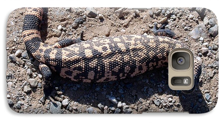 Gila Monster Galaxy S7 Case featuring the photograph Traveler the Gila Monster by Judy Kennedy