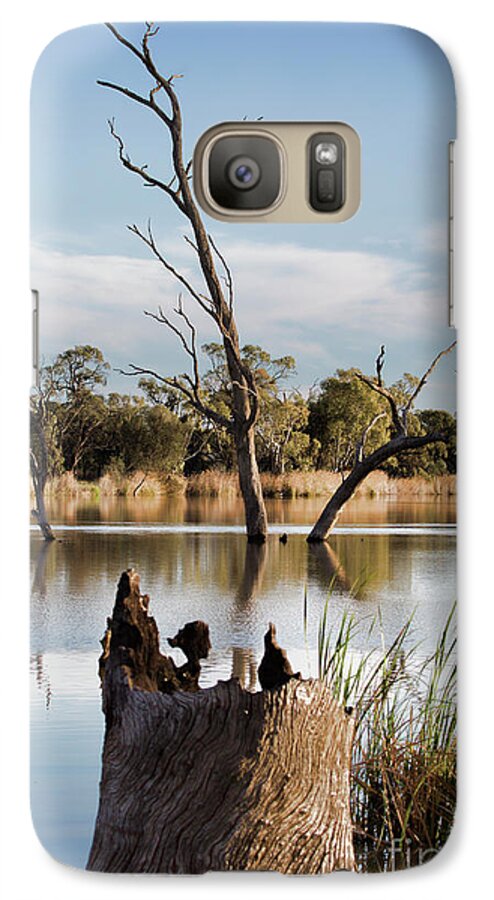 Trees Galaxy S7 Case featuring the photograph Tree Image by Douglas Barnard