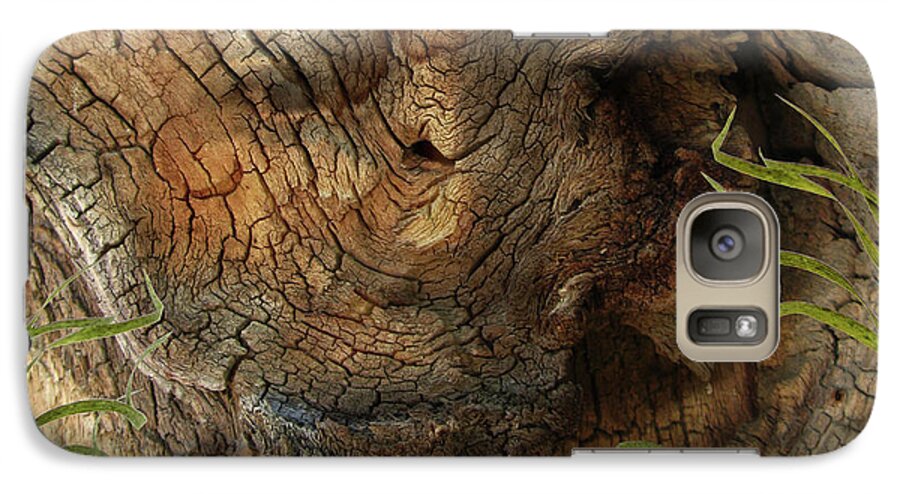 Trees Galaxy S7 Case featuring the photograph Tree Memories # 22 by Ed Hall