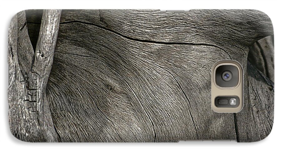 Trees Galaxy S7 Case featuring the photograph Tree Memories # 26 by Ed Hall