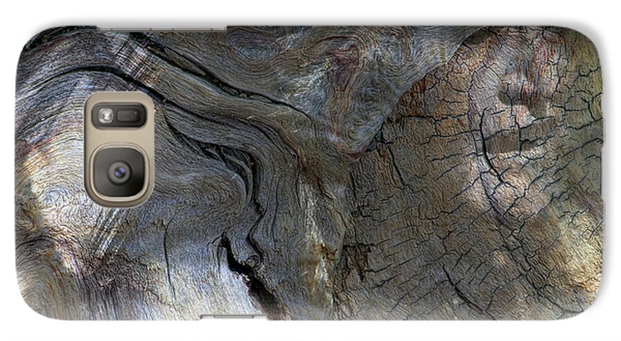 Trees Galaxy S7 Case featuring the photograph Tree Memories # 28 by Ed Hall