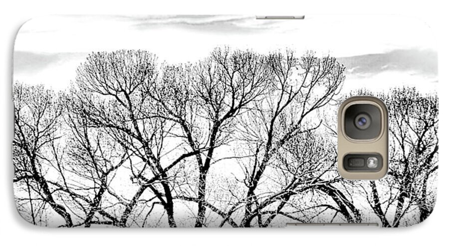 Tree Galaxy S7 Case featuring the photograph Trees Silhouette Black and White by Jennie Marie Schell