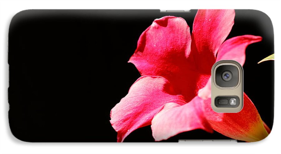 Flowers Galaxy S7 Case featuring the photograph Trumpet by Richard Patmore