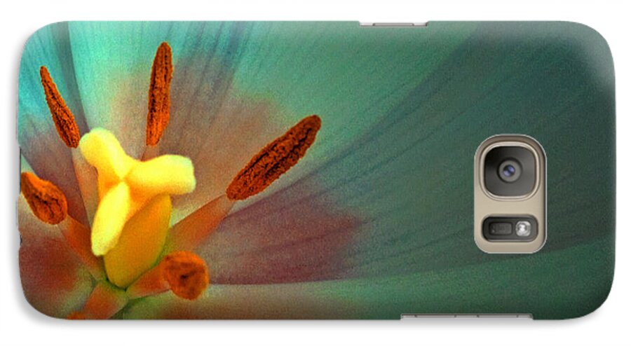Tulip Galaxy S7 Case featuring the photograph Tulip Trends by Gwyn Newcombe