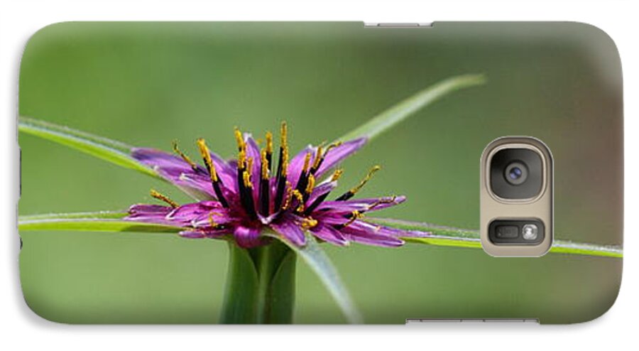 Purple Galaxy S7 Case featuring the photograph Twinkle Twinkle by Richard Patmore