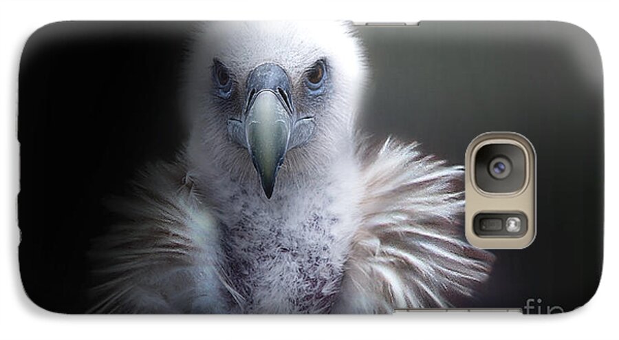 Vulture Galaxy S7 Case featuring the photograph Vulture 2 by Christine Sponchia