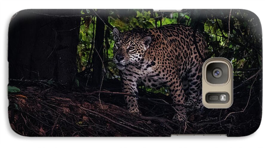 Jaguar Galaxy S7 Case featuring the photograph Wandering Jaguar by Wade Aiken