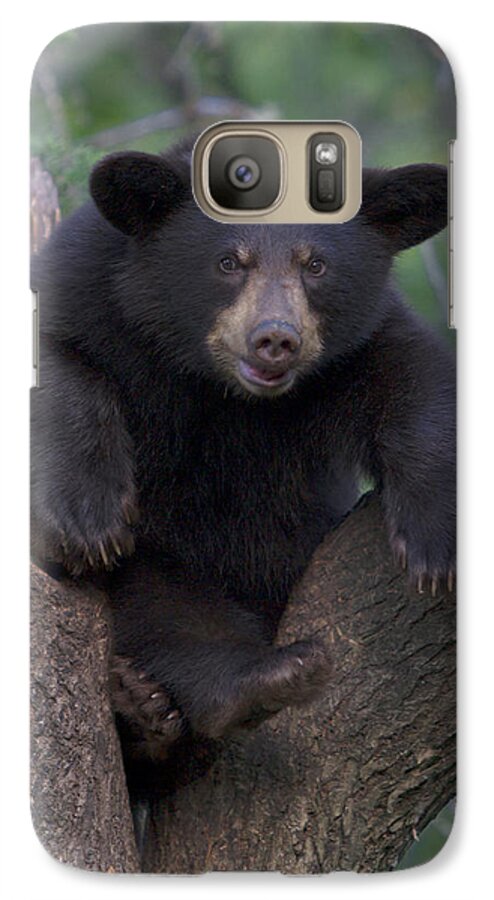Nature Galaxy S7 Case featuring the photograph Wanna Wrestle by Gerry Sibell