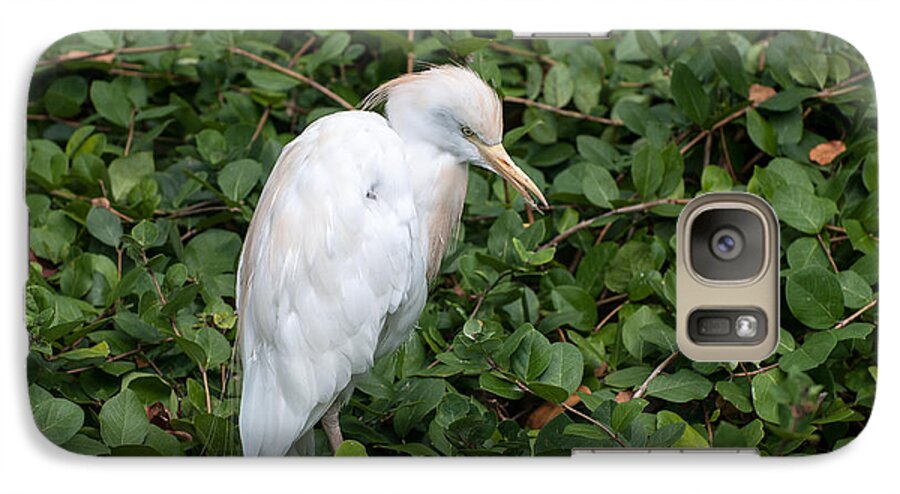 Columbus Zoo Galaxy S7 Case featuring the photograph White Egret by Monte Stevens