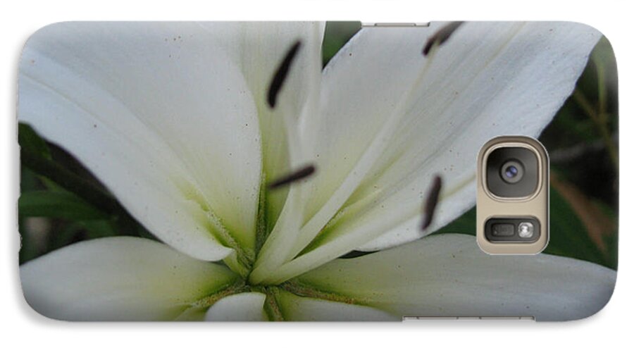 White Flower Galaxy S7 Case featuring the photograph White Pearl by Debra   Vatalaro