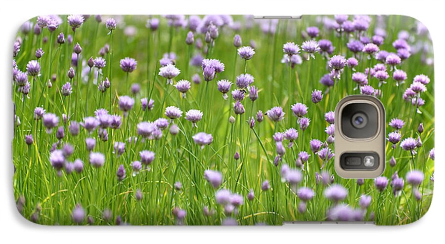 Chives Galaxy S7 Case featuring the photograph Wild Chives by Chevy Fleet