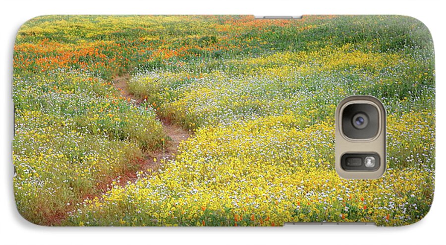 Wildflower Galaxy S7 Case featuring the photograph Wildflower field near Diamond Lake in California by Jetson Nguyen
