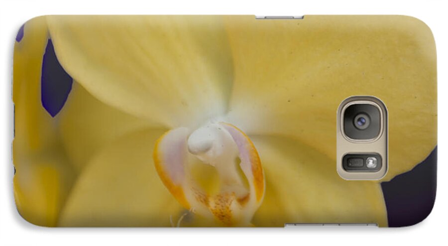 Flower Galaxy S7 Case featuring the photograph Yellow Orchard by Linda Constant