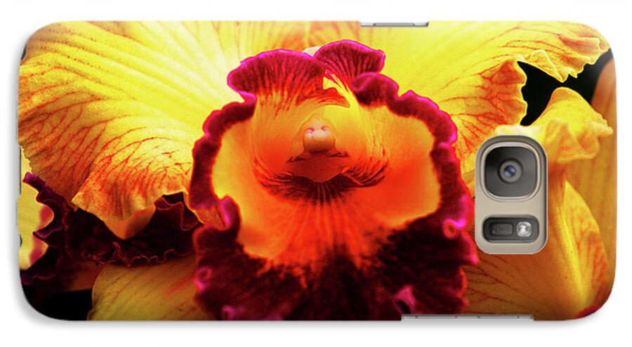 Hawaii Galaxy S7 Case featuring the photograph Yellow-Purple Orchid by Anthony Jones