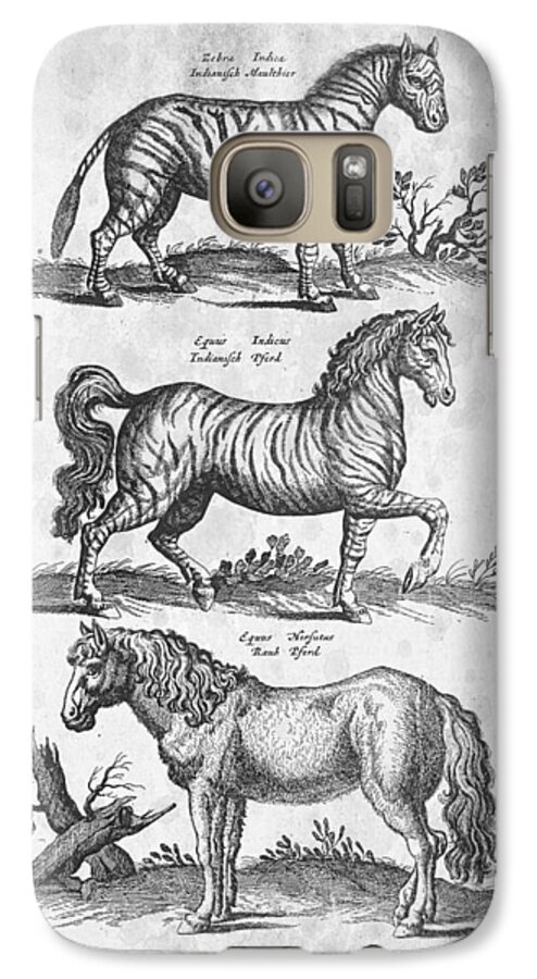 Zebra Galaxy S7 Case featuring the digital art Zebra Historiae Naturalis 1657 by Aged Pixel