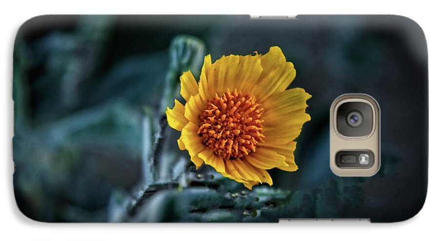 Arizona Galaxy S7 Case featuring the photograph Desert Sunflower #1 by Robert Bales
