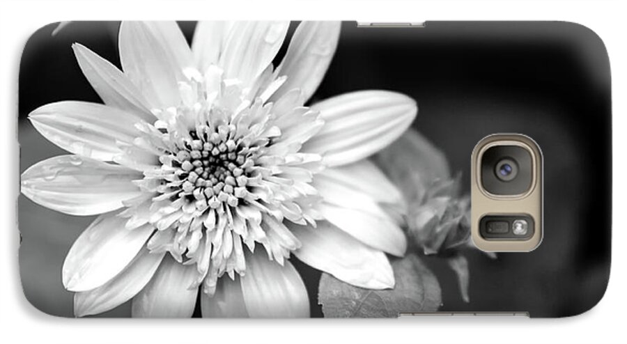 Black And White Galaxy S7 Case featuring the photograph Black and White Sunrise Coreopsis by Christina Rollo