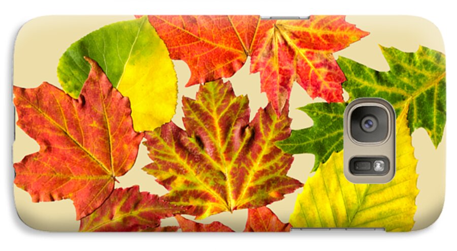 Fall Leaves Galaxy S7 Case featuring the mixed media Fall Leaves Pattern by Christina Rollo