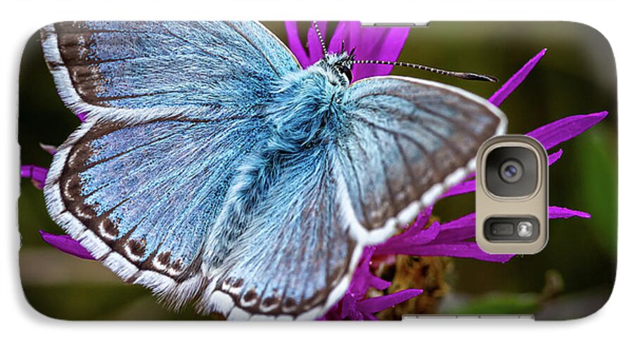 Common Galaxy S7 Case featuring the photograph Common Blue Butterfly by Shirley Mitchell