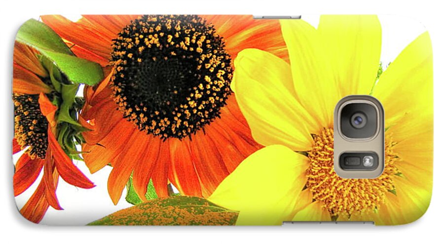 Sunflower Galaxy S7 Case featuring the photograph Bright Trio by Kathy Bassett