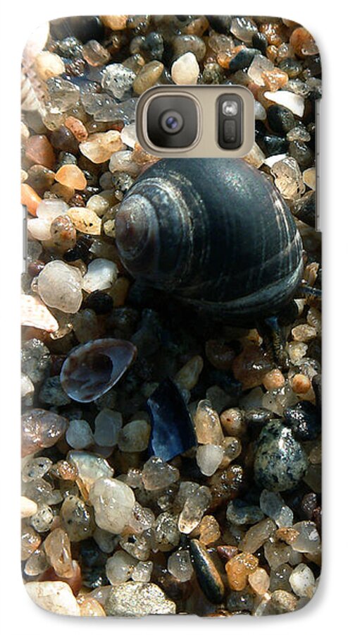 Shells Galaxy S7 Case featuring the photograph In a Grain of Sand by RC DeWinter