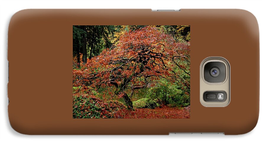 Pictures Of Japanese Gardens Galaxy S7 Case featuring the photograph Japanese Maple At The Japanese Gardens Portland by Thom Zehrfeld