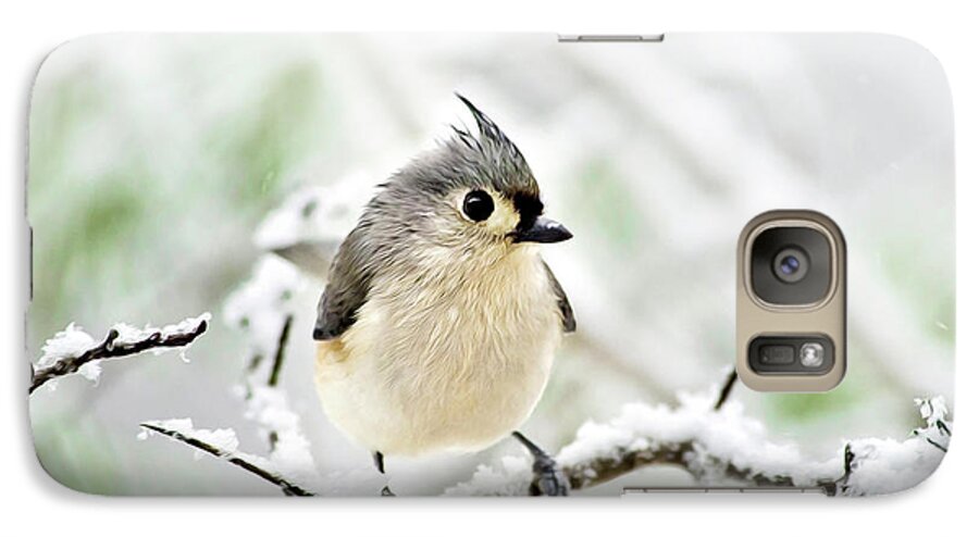 Bird Galaxy S7 Case featuring the mixed media Snowy Tufted Titmouse by Christina Rollo