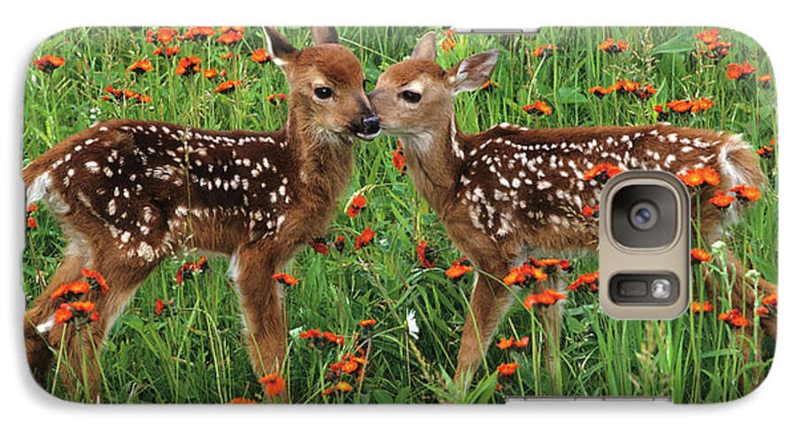 Deer Galaxy S7 Case featuring the photograph Two Fawns Talking by Chris Scroggins
