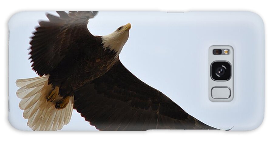 Eagle Galaxy S8 Case featuring the photograph Flight Of Freedom by Bonfire Photography