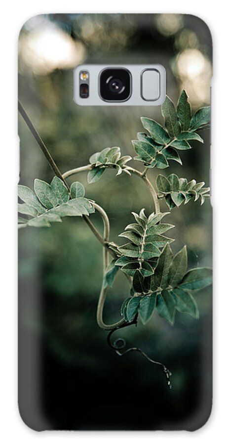 Nature Galaxy Case featuring the photograph I'll Make My Own Way by Off The Beaten Path Photography - Andrew Alexander