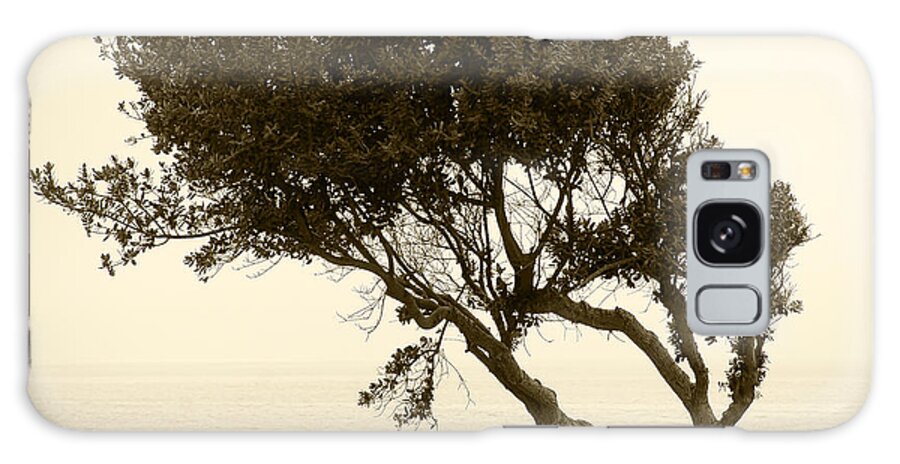 Beach Art Galaxy Case featuring the photograph Morning Coffee Together by Artist and Photographer Laura Wrede