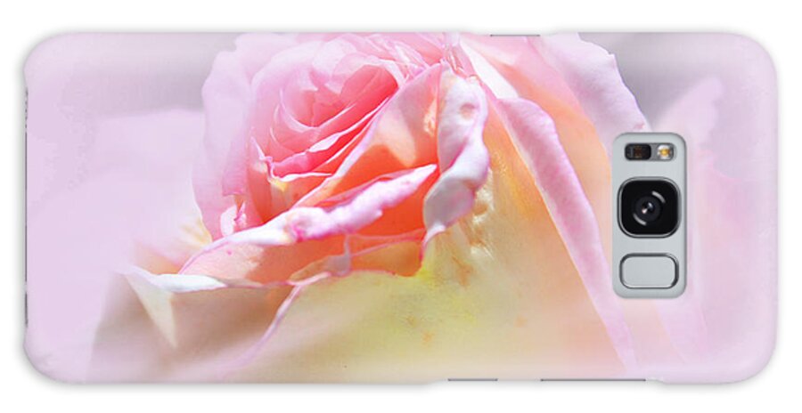 Rose Galaxy Case featuring the photograph Peaceful Pink Rose Haze by Judy Palkimas