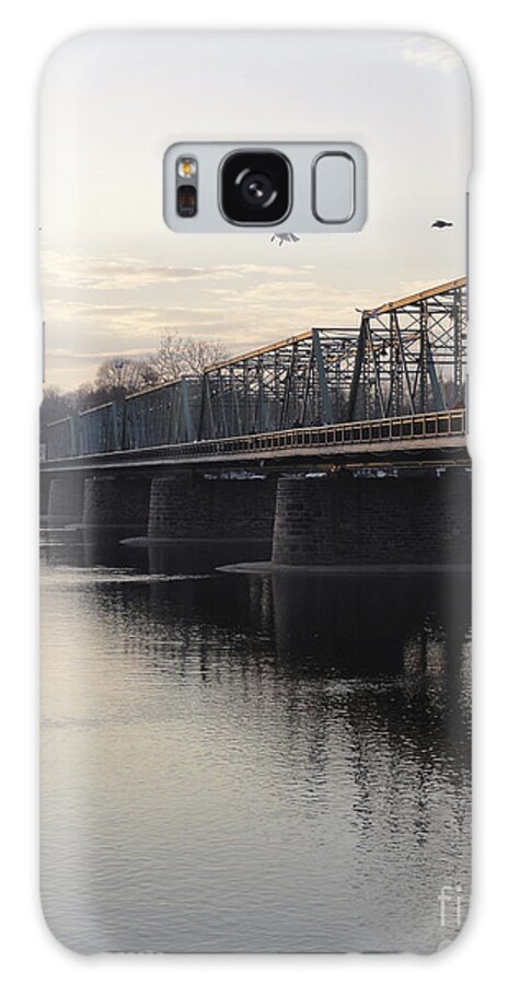 Bridge Galaxy Case featuring the photograph Gulls at the Bridge in January by Christopher Plummer