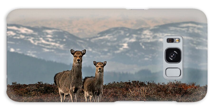 Sika Deer Galaxy Case featuring the photograph  Sika Deer by Gavin Macrae