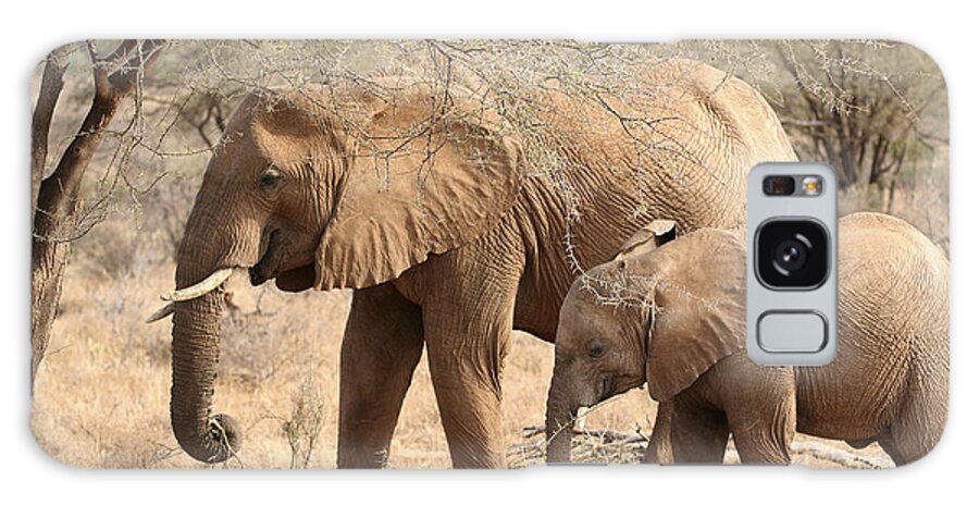 African Elephant Galaxy Case featuring the photograph African Elephant mother and calf #2 by Liz Leyden