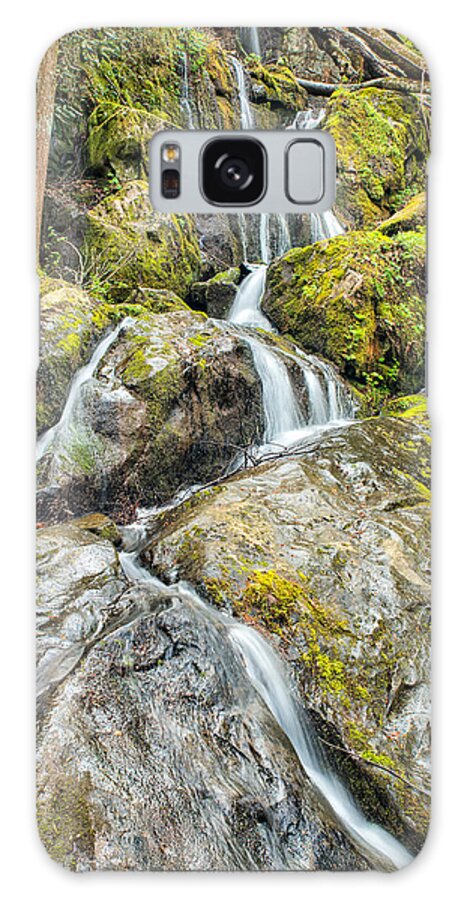 Gatlinburg Galaxy S8 Case featuring the photograph After the Rain #1 by Victor Culpepper