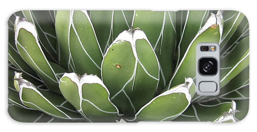 Agave Galaxy Case featuring the photograph Agave #3 by Chani Demuijlder