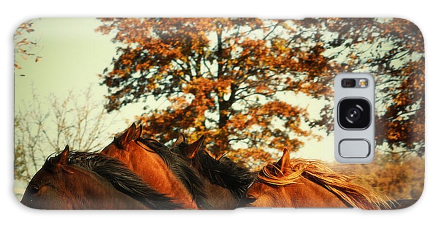 Horse Galaxy S8 Case featuring the photograph Autumn Wild Horses by Dimitar Hristov