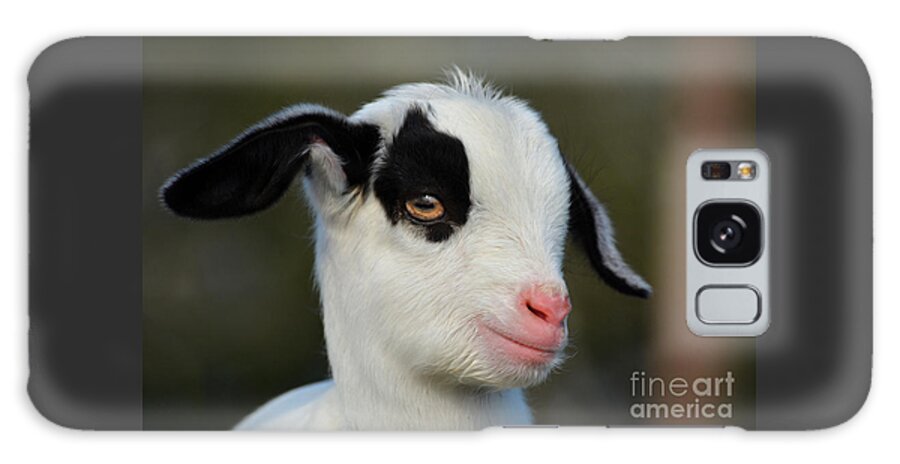 Baby Billy Goat Galaxy Case featuring the photograph Baby Billy Goat #2 by Savannah Gibbs