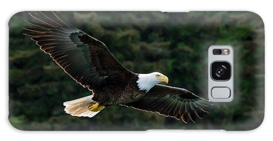 Alaska Galaxy Case featuring the photograph Bald Eagle, Glacier Bay National Park #1 by Art Wolfe