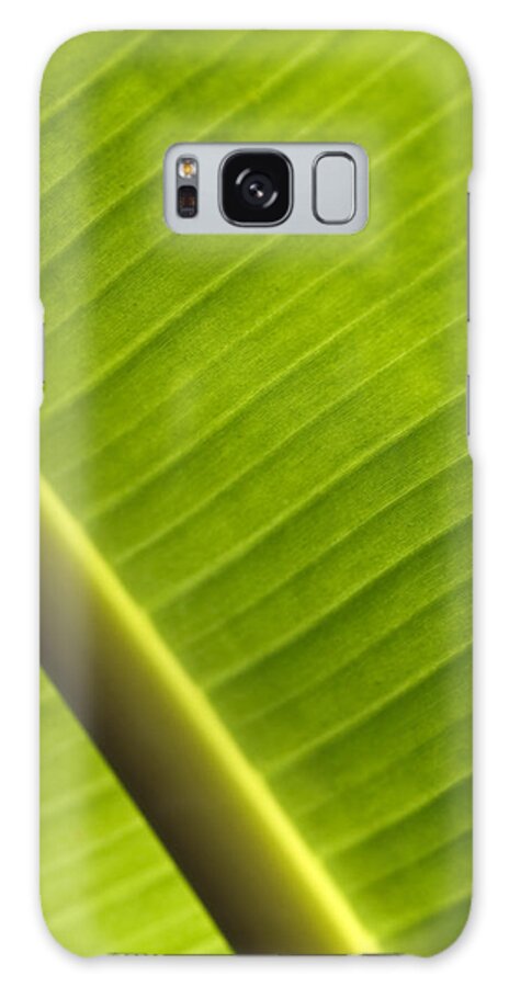Banana Leaves Galaxy S8 Case featuring the photograph Banana Leaf #1 by Maria Heyens
