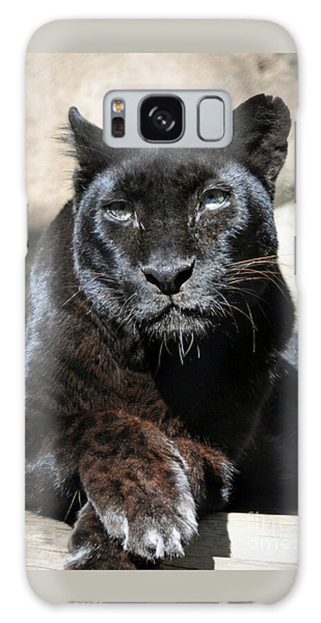 Black Galaxy Case featuring the digital art The Black Leopard by Savannah Gibbs