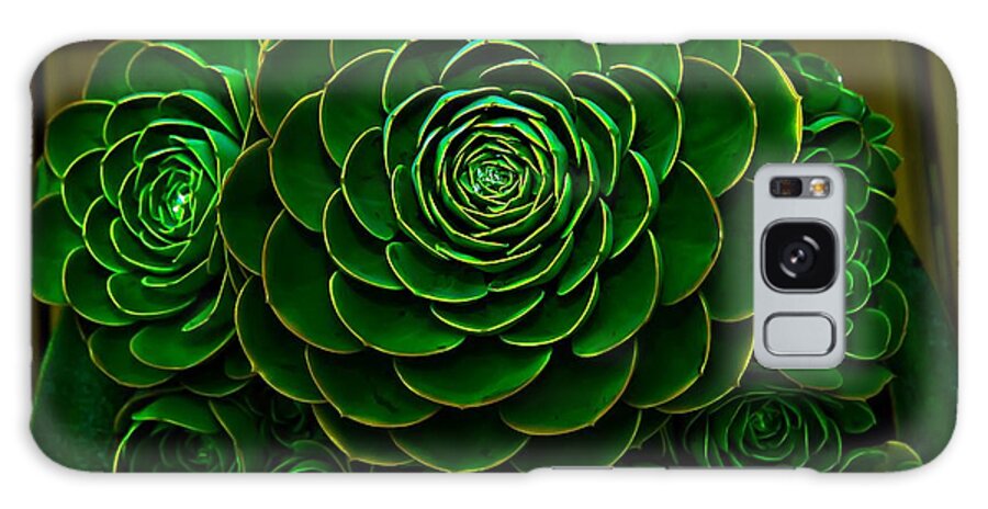 Flowers Galaxy Case featuring the photograph Blooming in the Spring #1 by Craig Watanabe