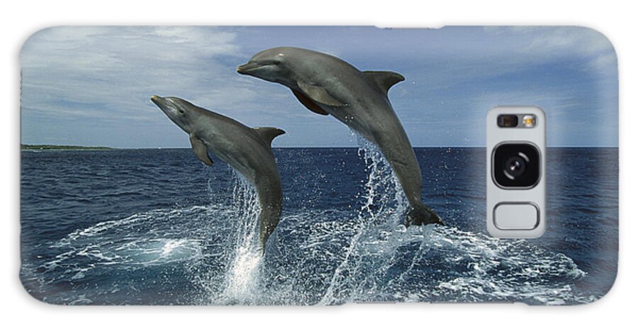 Feb0514 Galaxy Case featuring the photograph Bottlenose Dolphin Pair Leaping Honduras #1 by Konrad Wothe