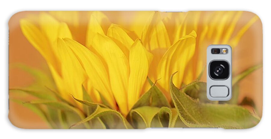 Sunflower Galaxy Case featuring the photograph Bright and Sunny #2 by Deborah Crew-Johnson