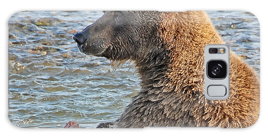 Bear Galaxy Case featuring the photograph Salmon for Dinner by Dyle  Warren