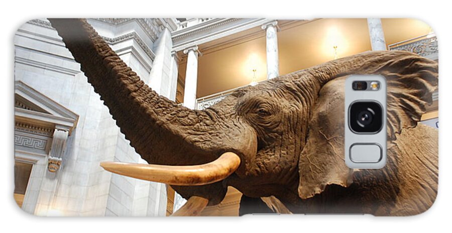 Bull Elephant Galaxy Case featuring the photograph Bull Elephant in Natural History Rotunda #7 by Kenny Glover